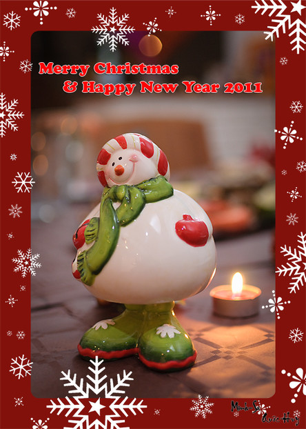Christmas card 2010