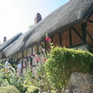 shakespear-stratford-04